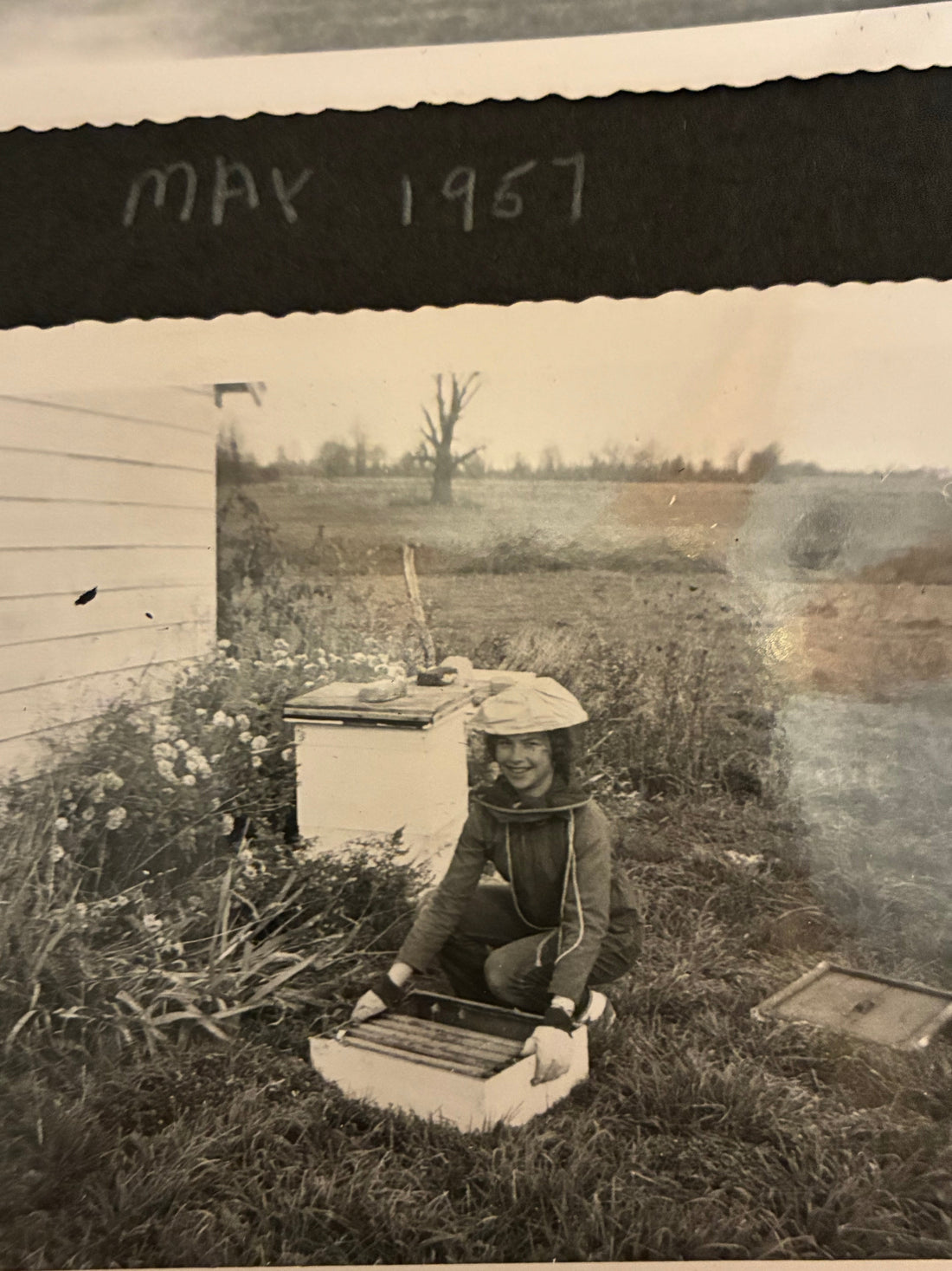 May 2026 Apiary Update