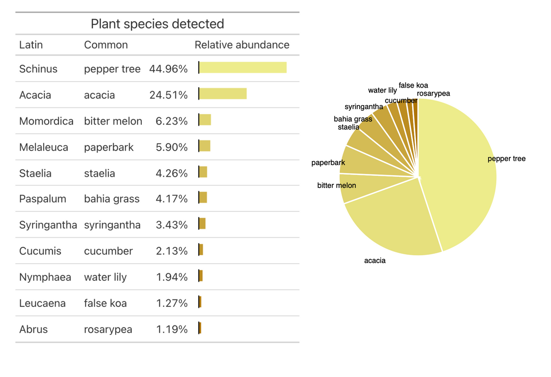 February 2026 Apiary Update